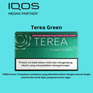 Terea Green for IQOS ILUMA（淡薄荷）10pack